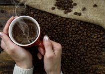 Percolator vs French Press: Which Coffee Maker Is Better?