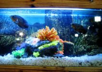 5 Best Fish Tank Coffee Table Reviews of 2022 You Can Buy